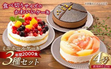 フルーツ / チョコムース / レアチーズ ホールケーキ 3種 冷凍 糸島市 / 五洋食品産業 [AQD017] ランキング 上位 人気 おすすめ