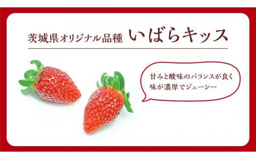 【 茨城いちごグランプリ 受賞 農園 】 完熟 いばらキッス 4パック 茨城県オリジナル品種 イチゴ 苺 フルーツ 果物 果実 [DY003ci]