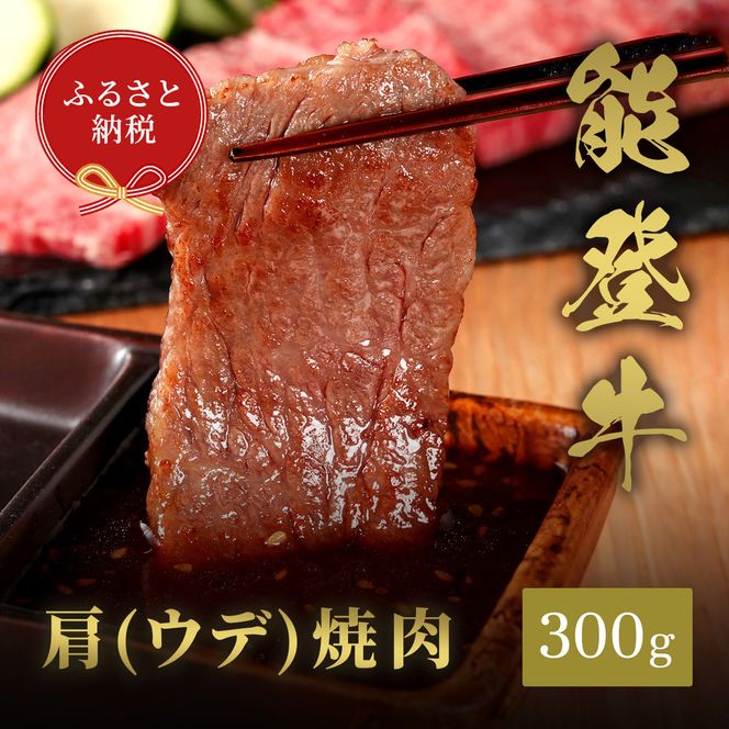 肉【和牛セレブ】能登牛　牛肩（ウデ） 焼肉 300g 黒毛和牛 霜降り ギフト 石川県 能美市 172111_DB031