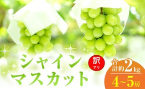 【2026年 先行予約】【訳あり品】 シャインマスカット 4～5房 合計約2kg 常温配送 ぶどう 葡萄 フルーツ 果物 岡山 岡山のぶどう 岡山の果物 食後 デザート 産地直送 大粒 皮ごと 種無し 