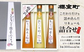 櫻室町 こだわりだけを詰め込んだ リキュール 詰合せ 300mlx3本セット（L3-4E） お酒 アルコール 酒 