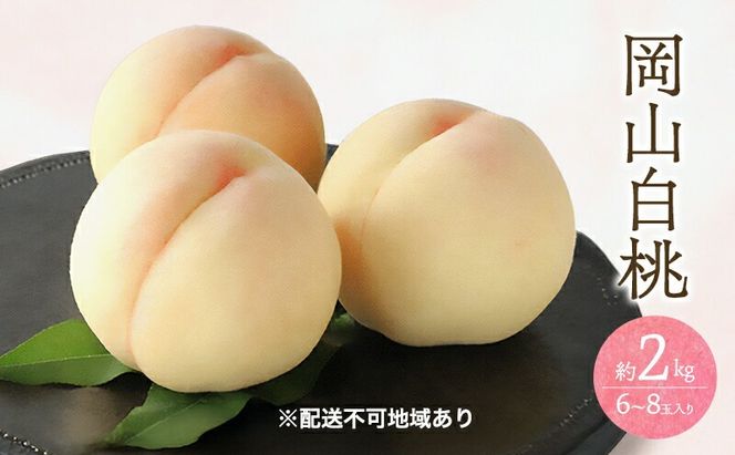 桃 2026年 先行予約 白桃 2kg 6～8玉 もも モモ 岡山 国産 フルーツ 果物 ギフト 桃茂実苑