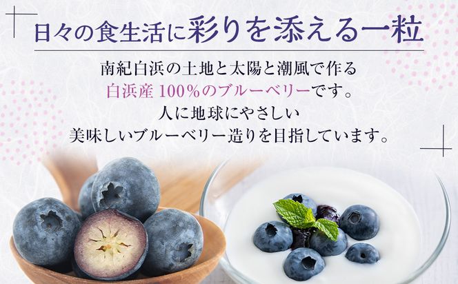 南紀白浜産ブルーベリー 約400g 304018_Y008