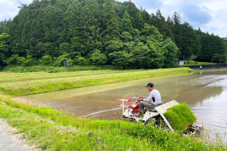 432. 【令和6年産】農薬・化学肥料不使用　オータニ農業の『いのちの壱』精米10kg【10月下旬発送開始】