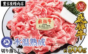 約900g切り落とし　氷温(R)熟成　飛騨牛Ａ５等級  プロトン凍結 [No.522]