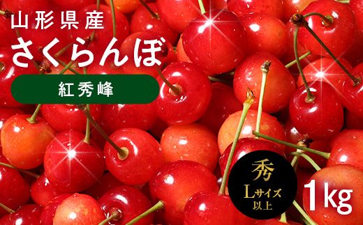 FYN6-625 ≪2027年先行予約≫山形県産 さくらんぼ 紅秀峰 1kg(500g×2) 秀品 L以上 バラパック詰め 2027年6月中旬から順次発送 果物 くだもの フルーツ サクランボ チェリー 贈答 贈り物 ギフト プレゼント 自宅 家庭 産地直送 山形県 西川町 月山