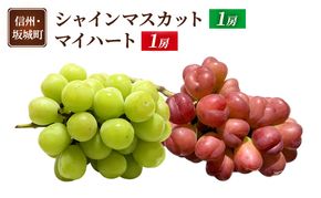 ぶどう シャインマスカット 1房 マイハート 1房 葡萄 ブドウ フルーツ 果物 デザート おやつ 信州 長野 坂城町
