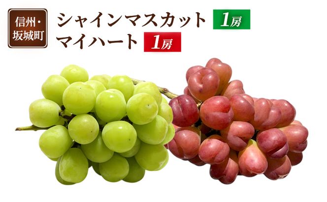 ぶどう シャインマスカット 1房 マイハート 1房 葡萄 ブドウ フルーツ 果物 デザート おやつ 信州 長野 坂城町