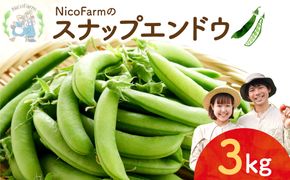 【先行予約：2026年6月上旬頃より発送】甘くてシャキシャキ！ おやつ感覚で食べられる スナップエンドウ 3Kg えんどう豆 夏野菜 おつまみ お弁当 旬の野菜 産地直送 NicoFarm_Y124-0050