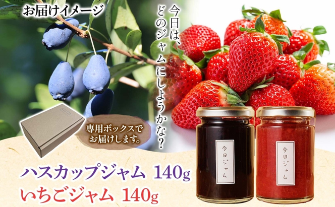 【ふるさと納税】ジャム2種セットB 各1個 ハスカップジャム いちごジャム  今日ジャム 北海道産 自家製 パン ヨーグルト 朝食 濃厚 甘い デザート スイーツ おやつ グルメ ご褒美 贅沢 ギフト 送料無料 北海道 滝川市