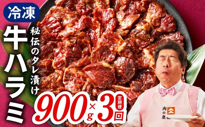 099Z522 【定期便】牛ハラミ肉 900g×全3回【小分け 300g×3P 秘伝の赤タレ 味付き 焼肉 訳あり サイズ不揃い 毎月配送コース】