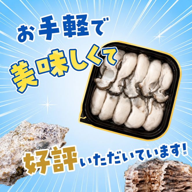 北海道 厚岸産 ちょびっと 牡蠣 むいちゃいました！ ( 生食用 ) 300g カキ むき身 魚貝類 生牡蠣 かき むき牡蠣 マルえもん