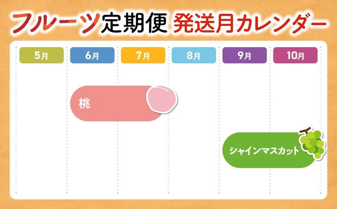 【✩先行予約✩2026年/令和8年発送分】【大人気】プレミアムフルーツ定期便　AD-219