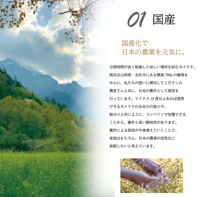 熱で壊れにくいオメガ3！大山崎油座商店のカメリナオイル 130g 1本 ギフト箱入り