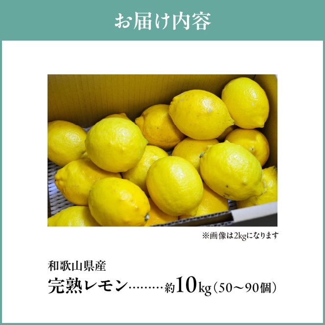 【2027年先行予約】和歌山県産 完熟 レモン 10kg 皮まで使用可能（栽培期間中農薬不使用）_EA6013