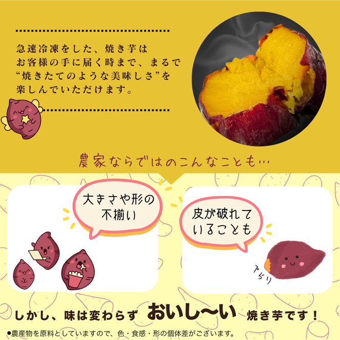 冷凍カット焼き芋（紅はるか）約1kg(100g×10袋)｜冷凍焼き芋 個包装 熟成紅はるか 約1kg 100g×10袋 カット焼き芋 茨城県産 行方市 紅錦 サツマイモ 冷凍焼き芋 国産 おやつ スイーツ 和スイーツ 冷やし焼き芋 無添加 小さいサイズ（IE-6）