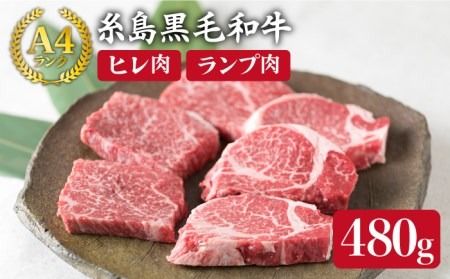 [極上ステーキ] ヒレ ランプ 480g A4ランク 糸島 黒毛和牛 [糸島ミートデリ工房][ACA009] ステーキ ヒレ ヒレ肉 フィレ ヘレ 牛肉 赤身 黒毛和牛 国産 博多 和牛