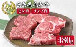 【極上ステーキ】 ヒレ ランプ 480g A4ランク 糸島 黒毛和牛 【糸島ミートデリ工房】[ACA009] ステーキ ヒレ ヒレ肉 フィレ ヘレ 牛肉 赤身 黒毛和牛 国産 博多 和牛