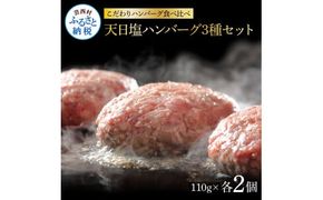 【CF-R7hbk】CDM015　 食べ比べ！天日塩ハンバーグ3種セット各2個(110g×3種) 合計6個 ハンバーグ 黒毛和牛 美鮮豚 天然塩 天日塩 デミグラスソース 和風ソース ソース付き 牛肉 豚肉 温めるだけ 冷凍 配送 国産 故郷納税 