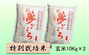 特別栽培米 【 令和8年産 】 玄米 20kg【 夢ごこち 】