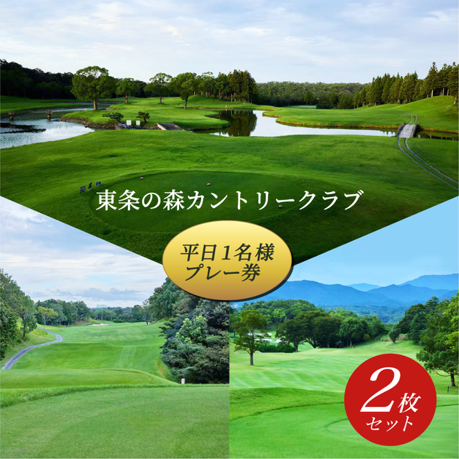 yɌsz̐XJg[Nu  1l v[ (2Zbg) ̐XCC [ St s Ɍ ֐ St ] Stꗘp