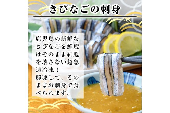 a1041 捕れたてキビナゴのお刺身(15尾入り×4P)【海鮮七海】姶良市 国産 きびなご キビナゴ 刺身 さしみ 刺し身 冷凍