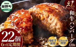 幻のあかうし和牛ハンバーグ 22個入り 6ヶ月定期便 1個120g 田野屋青蜂 白鯆 完全天日塩練り込み 肉 お肉 国産牛 土佐あかうし 四万十ポーク おかず 惣菜 おいしい お取り寄せ 冷凍 配送 高知県 田野町