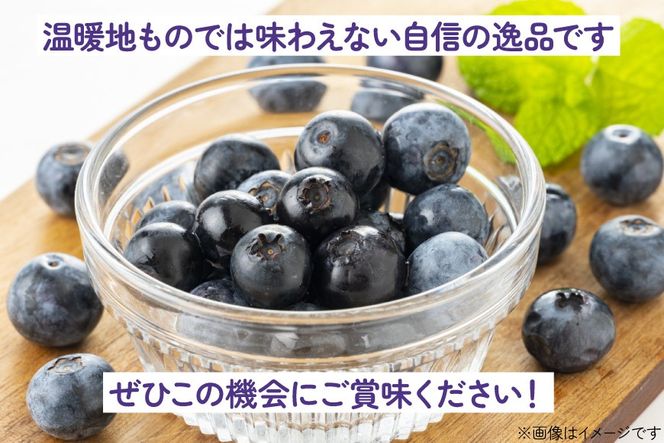 【期間限定発送】生食 ブルーベリー 1kg [ノーザン・ベリーズ 北海道 砂川市 12260529] 果物 フルーツ 国産 期間限定 数量限定