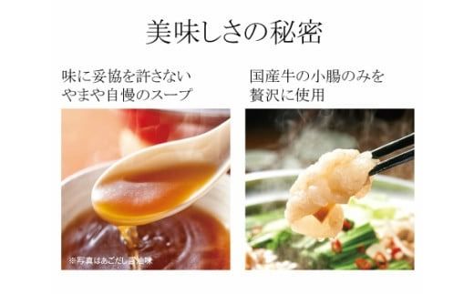 やまや　博多もつ鍋　あごだし醤油味（1～2人前）　EY003