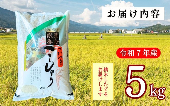【令和7年産】黄金銀香 飯山産 コシヒカリ 精米 5kg（5kg×1袋）（Cr-001）