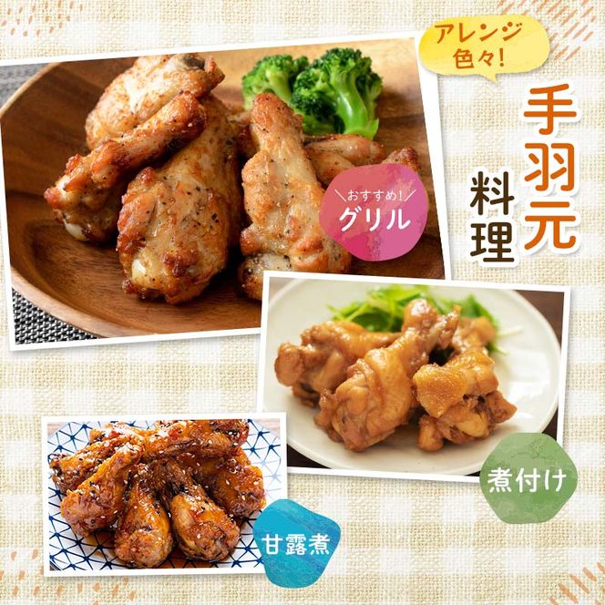 産地直送！恵那どり手羽元 5本×8パック 冷凍 F4N-2396