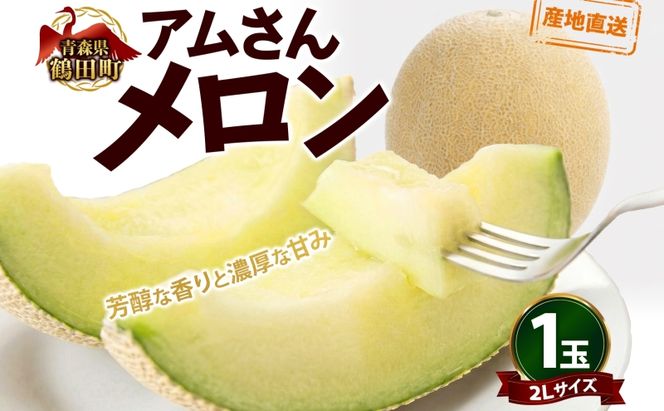 青森県産 つがりあんメロン 「アムさん」 2Lサイズ 1玉 完熟 甘い ジューシー ハウス栽培 弘果弘前中央青果 産地直送 メロン フルーツ 果物 ギフト 贈答 青森県 鶴田町