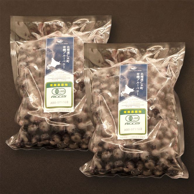 先行受付 【有機JAS認証】北海道仁木町産オーガニック冷凍ブルーベリー 500g×2パック 計1.0kg 果物 フルーツ 冷凍フルーツ 有機栽培 樹上完熟 手摘み トッピング  [株式会社 自然農園]