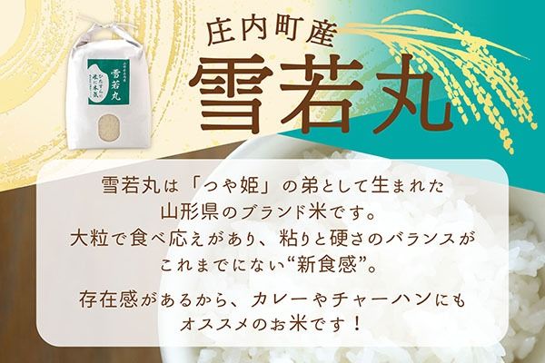 【新米受付】令和8年産 雪若丸 10kg 渡會さんのうまい米！ 5kg×2袋 2026年産 ブランド米 米 国産 単一原料米 山形 庄内平野 コシヒカリの原点、亀の尾発祥の地 庄内【R8.10月以降発送開始/入金期限：2026年9月15日】