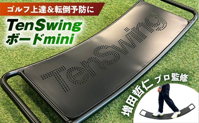 【ふるさと納税】ゴルフ上達＆転倒予防に「TenSwingボードミニ」：【増田哲仁プロ監修】
