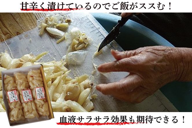 BC-3☆茨城のピリ辛らっきょう