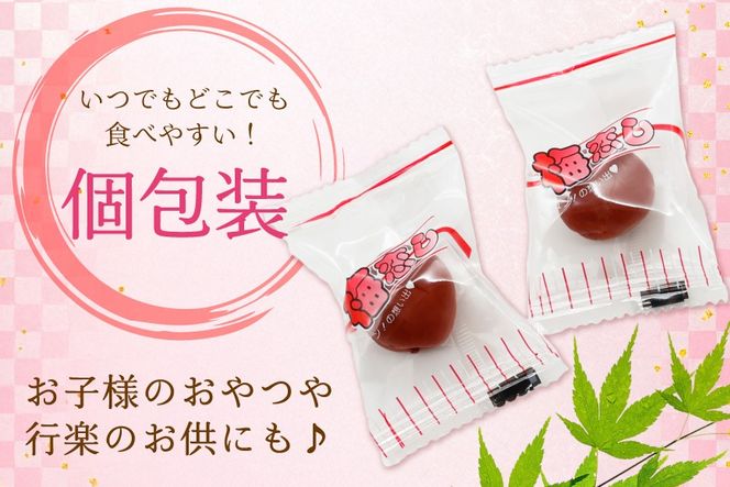 【カリカリ】梅恋し 10個×2袋 [山梨農産食品 山梨県 韮崎市 20743175] 梅干し 梅干 うめぼし 梅 小粒 小梅 カリカリ梅 個包装