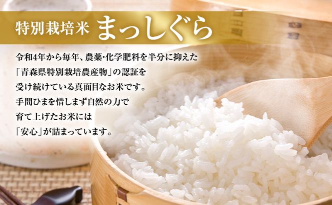 先行予約 令和8年産 特別栽培米 まっしぐら 無洗米 10kg(5kg×2) [H.GREENWORK] 青森県 鰺ヶ沢産 / お米 こめ おこめ ごはん 農薬5割減 安心 安全 津軽