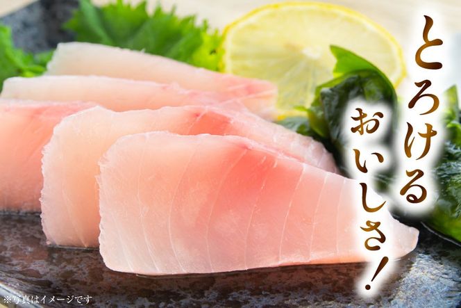 特撰 トロビンチョウ 300g [川印 村田漁業 宮城県 気仙沼市 20563396] 魚介類 魚貝 魚介 鮪 まぐろ マグロ トロ びんちょう ビンチョウ