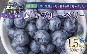 先行予約【朝採り】当日冷凍「北海道ニキブルーベリー」1.5kg（500g×3）サイズ混載 果物 くだもの 冷凍 フルーツ ブルーベリー 北海道 仁木［ぜにたに農園］