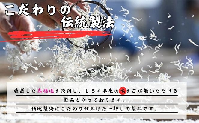 冷凍釜揚げしらす1kg（100g×10パック） / シラス 厳選 小分け 冷凍便 大容量 お米のおとも【dig003A】