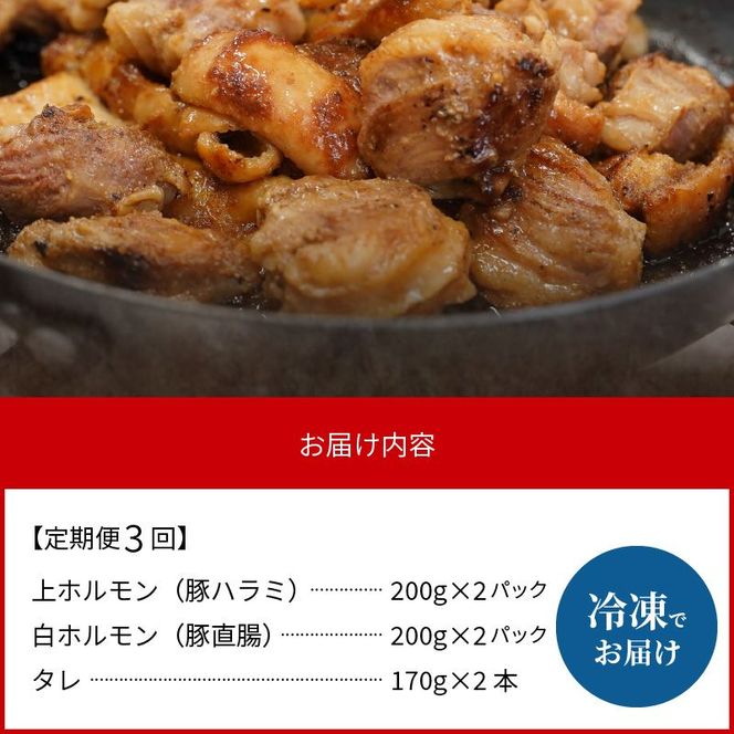 【3ヶ月定期便】上ホルモン・白ホルモン200g×各2パック N122-YD0187