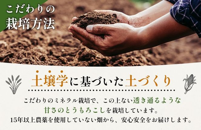 【2026年度発送分】上原農場直送 有機栽培とうもろこし (サニーショコラ) 約5kg 約10本前後【66019】