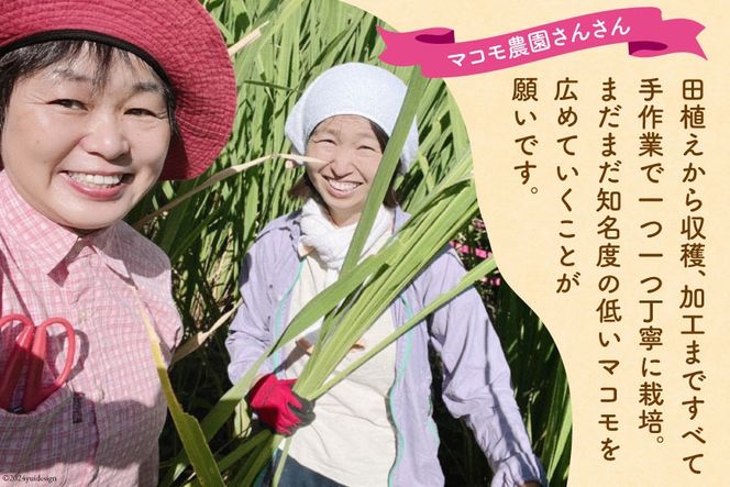 マコモ体験チケット（9,000円分）田植え 収穫 マコモ料理 手仕事体験 [マコモ農園さんさん 山梨県 韮崎市 20742714] 体験 子ども 子供 まこも 真菰 マコモ 真菰茶 まこも茶 マコモ茶 マコモダケ 体験型