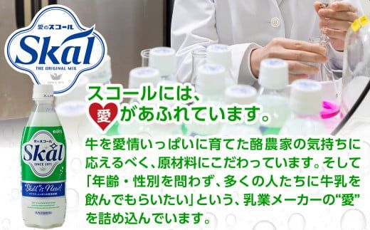「愛のスコール」500ml×24本_11-2305_(都城市) 宮崎のご当地ドリンク 乳性炭酸飲料 炭酸飲料 乳飲料 デーリィ 南日本酪農