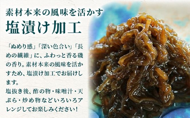 石垣島産・塩もずく（業務用一斗缶・18kg）