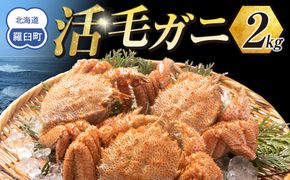  【先行予約/2026年4月発送開始】活毛ガニ　２kg　300g～500g　４～６尾 016942_AH270
