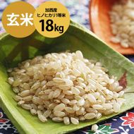 米 令和7年産 加西産 ヒノヒカリ 2等米 玄米 18kg お米 ご飯 単一原料米