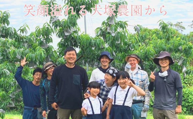 もも 2026年 先行予約 岡山匠の白桃 約1.3kg 4～6玉 犬塚農園 岡山県産  桃 モモ 家庭用 初夏 みずみずしい 