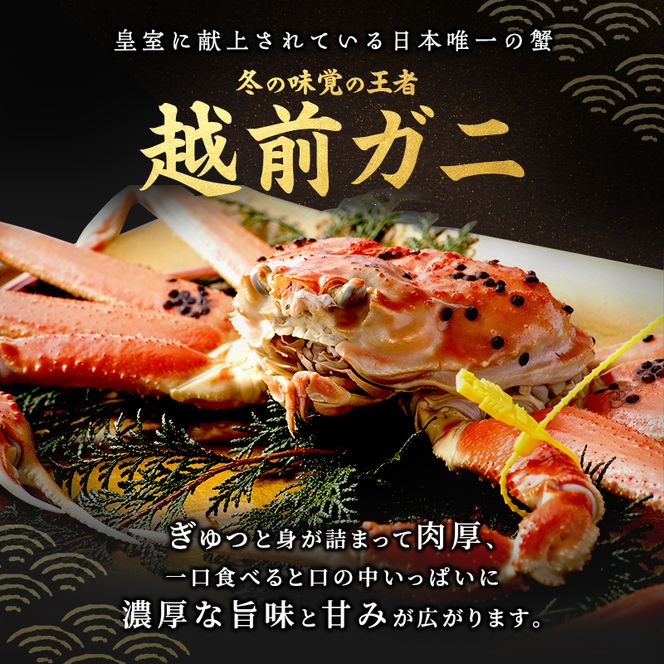 期間限定 茹で 越前ガニ 約600g 2杯 食通もうなる本場の味をぜひ、ご堪能ください 越前かに 蟹 カニ かに ボイルカニ ボイル蟹 ポーション ズワイガニ 海鮮 限定 福井 福井県 若狭町